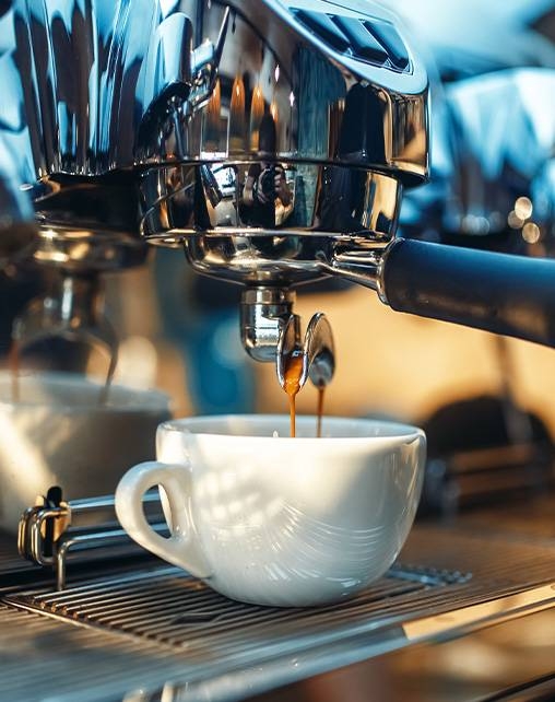 Le restaurant - Le Bistrot Jourdan - Restaurant Limoges terrasse - bien manger LIMOGES